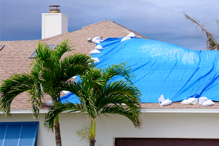 Tarps Huge Selection at the 1 Tarp Store + Lowest Prices