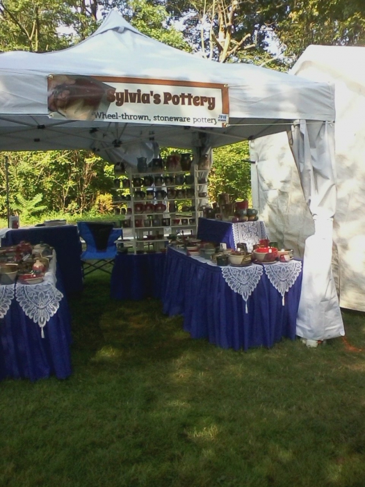 The Party Tent Store Over 300 Party Tents + Real Reviews